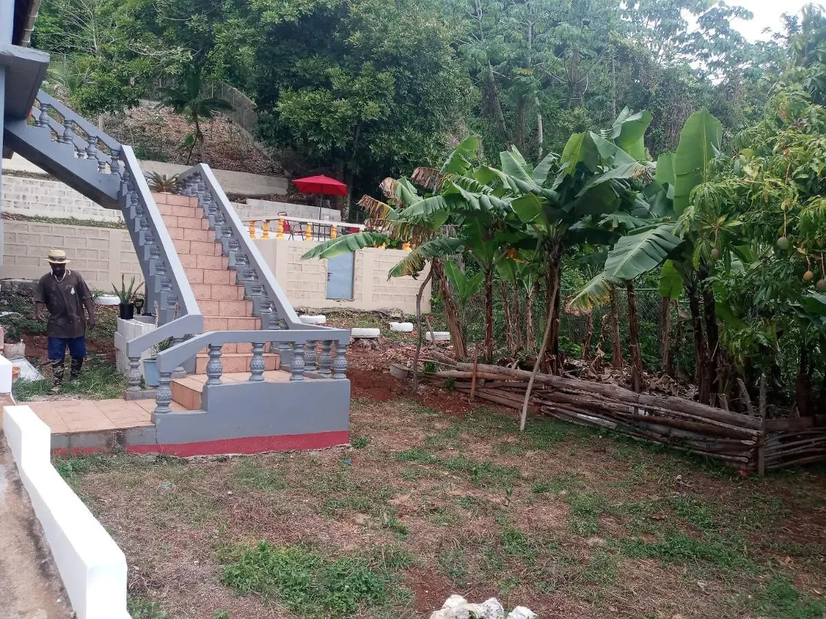 Villa Twin Court Retreat Port Antonio